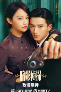 Теневой детектив