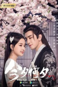 Какая сегодня ночь!