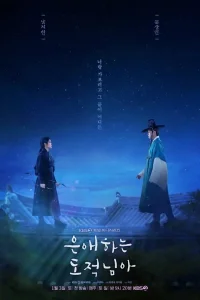 Мой дорогой вор