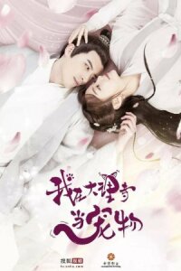 Кошка из палаты по уголовным делам