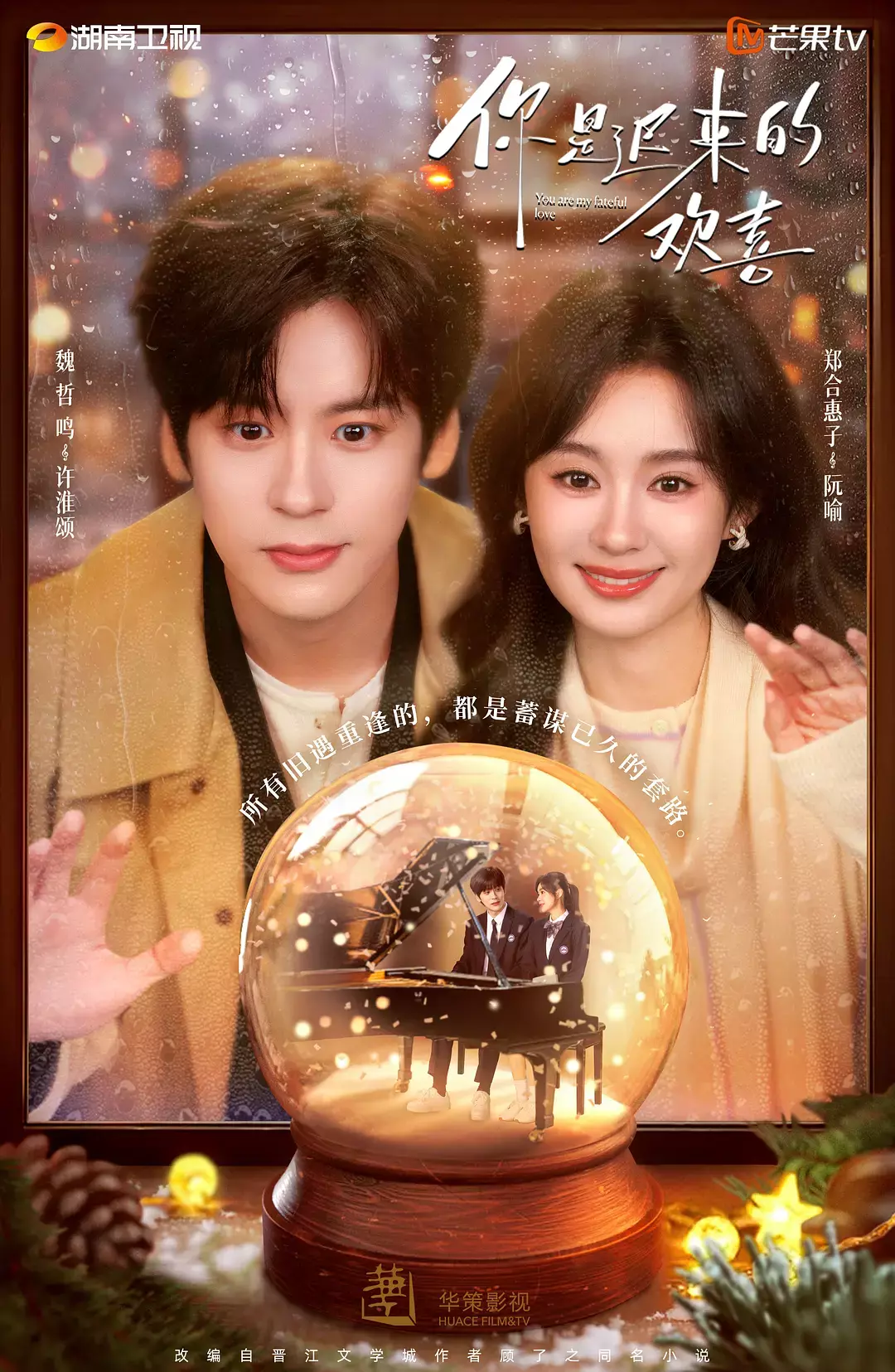 Постер Ты - моя запоздалая радость